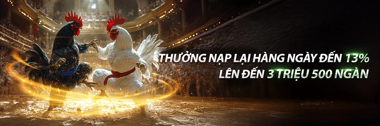 Đá Gà hm888 bet trực tuyến với các trận đấu kịch tính và tỷ lệ cược cao