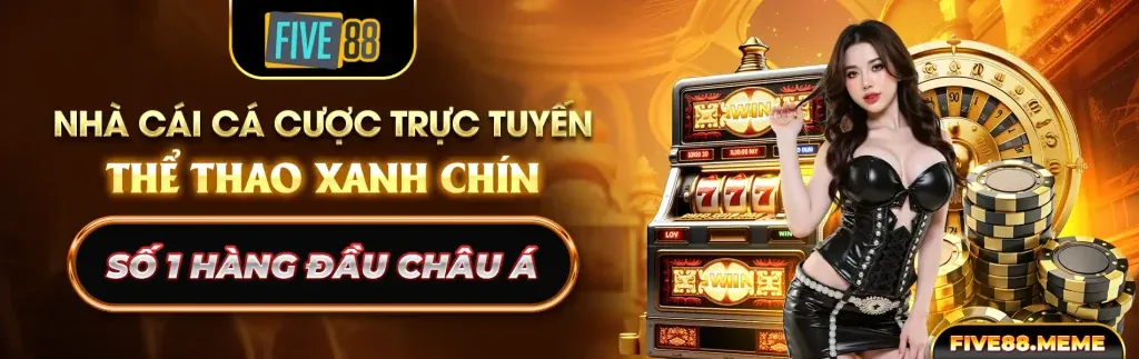 Biểu đồ phân tích chiến lược cá cược
