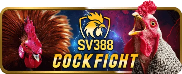 Trò chơi Baccarat và Roulette tại live casino hm888 bet